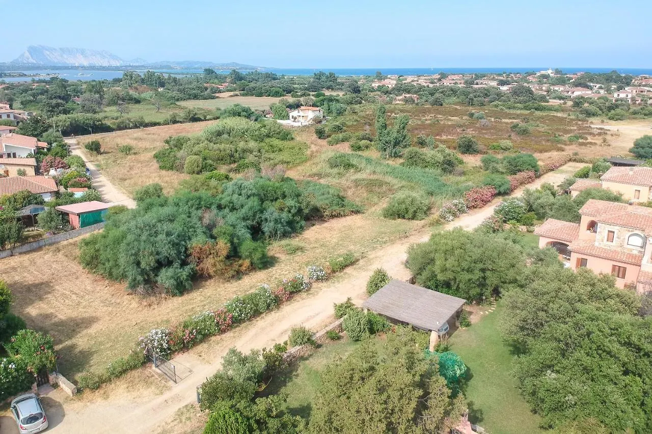 Villa Villetta Olivastro San Teodoro  Italia
